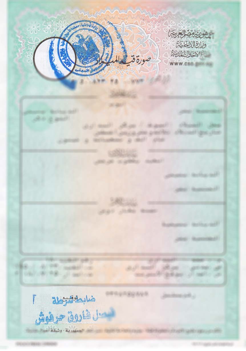 Arabic Birth Certificate Translation Services - Peachtree Rose Translations